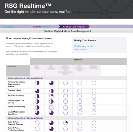 sample screenshot from RSG realtime tool