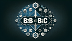 B2B vs B2C CDPs